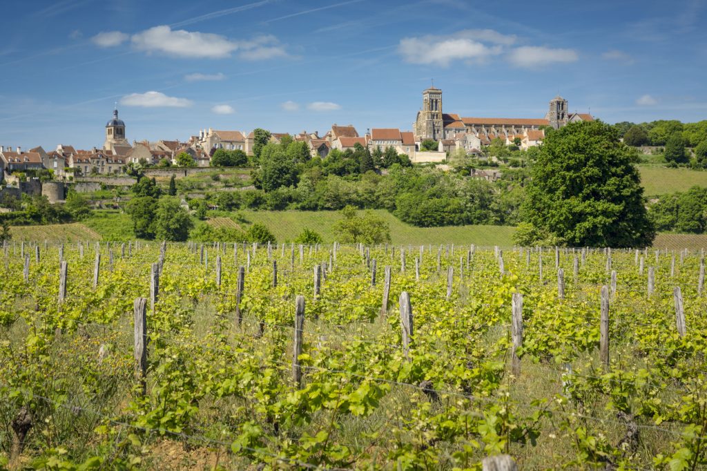 Paysage dans les vignobles du Grand Auxerrois : Vezelay.