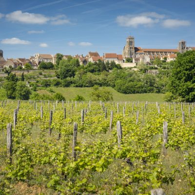 Paysage dans les vignobles du Grand Auxerrois : Vezelay.
