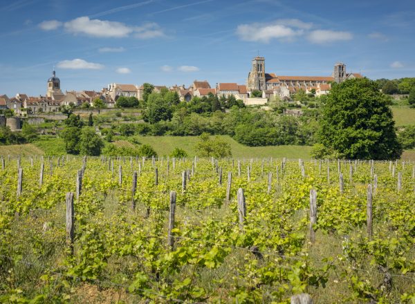 Paysage dans les vignobles du Grand Auxerrois : Vezelay.