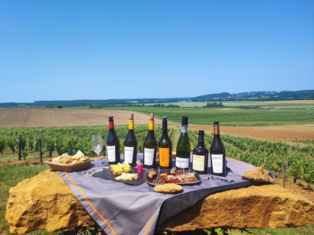 Apéritif dans le vignoble avec du fromage et de la charcuterie et des vins du Domaine Rollet