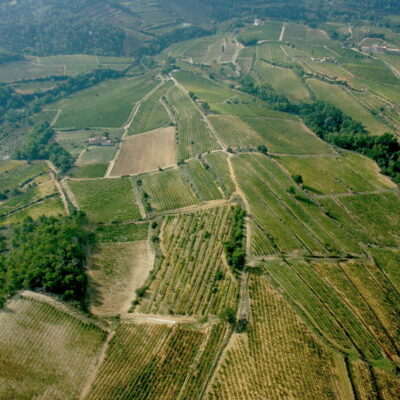 Rhonéa lance un côtes-du-rhône désalcoolisé