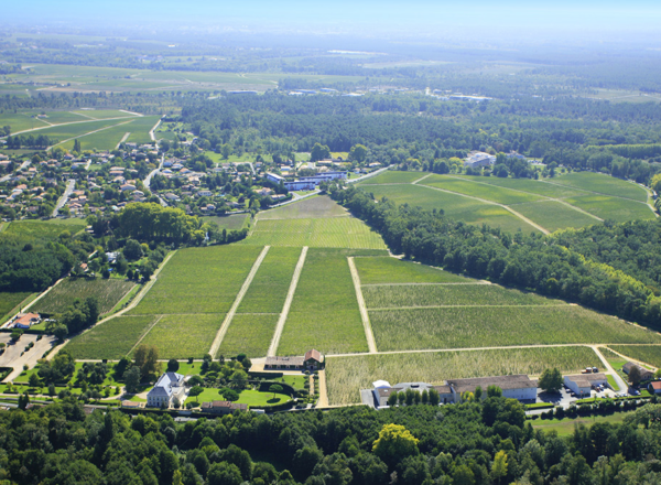 vue du vignoble de Pessac-Léognan