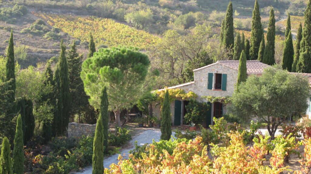 Domaine Sarrat d’En Sol au milieu de la nature 