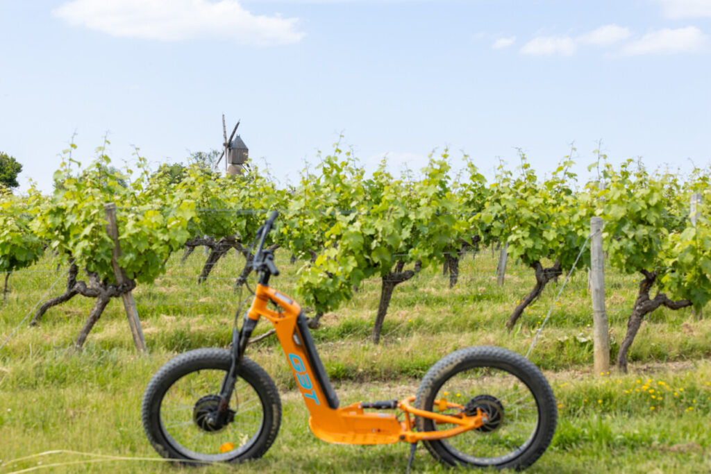 vélo électrique dans les vignes 