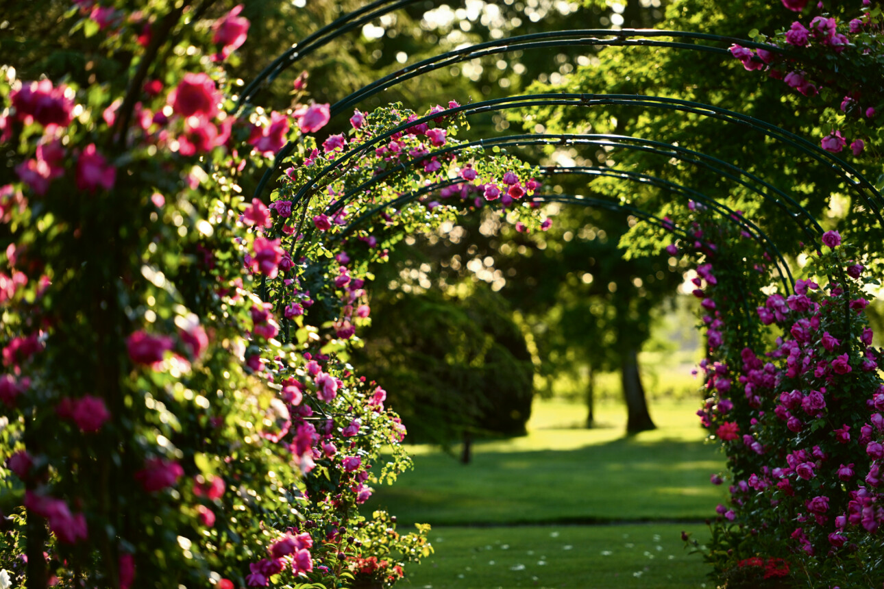 Le jardin du château Clarke