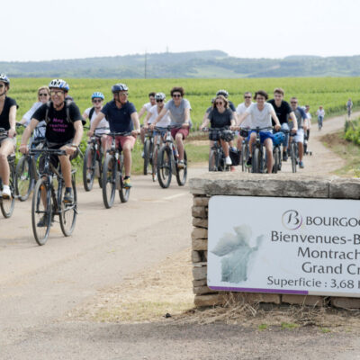 vélos dans les vignes de bourgogne