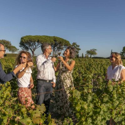 personnes dans les vignes