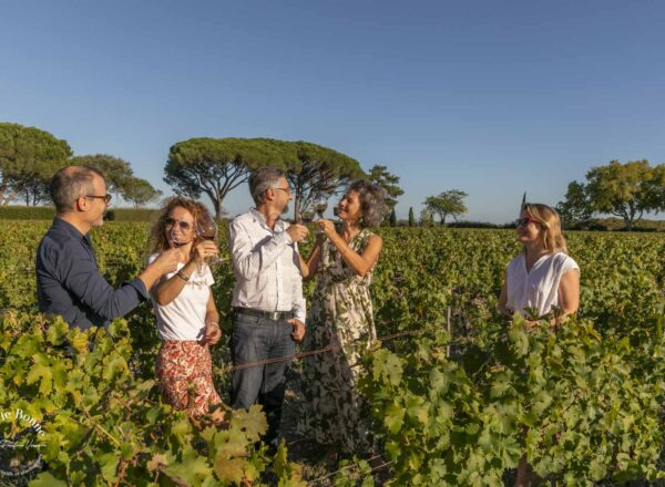 personnes dans les vignes