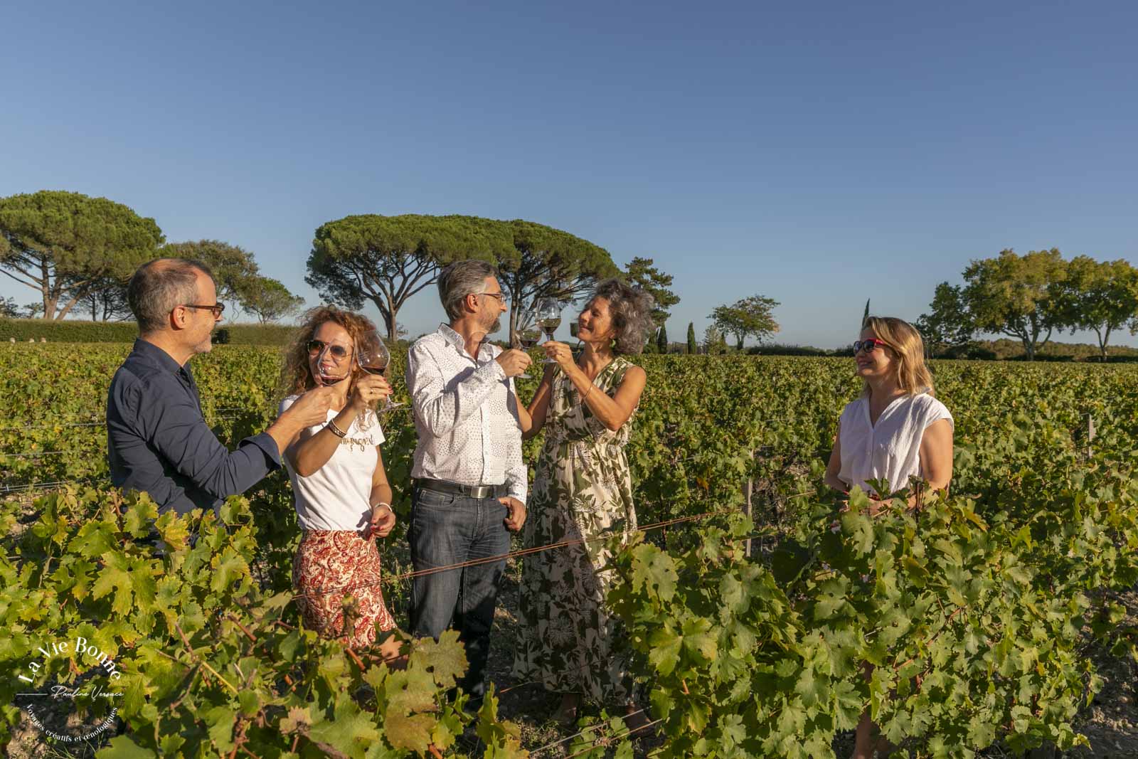 personnes dans les vignes