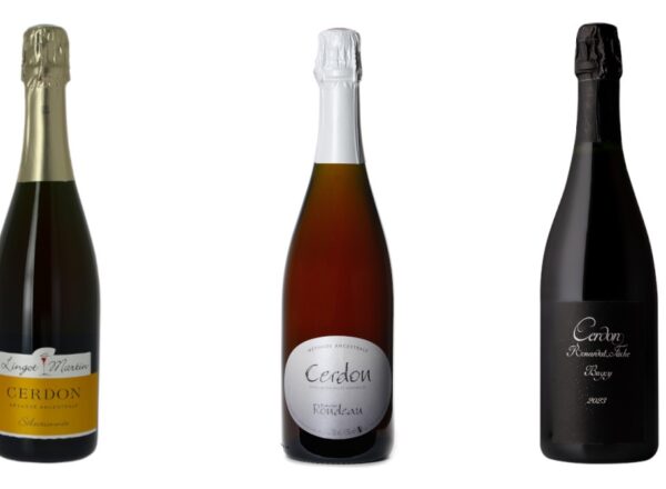 Les cuvées : Bugey Cerdon Sélectionnée 2023 du Cellier Lingot-Martin, Cerdon sec du Domaine Rondeau et Cerdon 2023 du Domaine Renardat Fâche