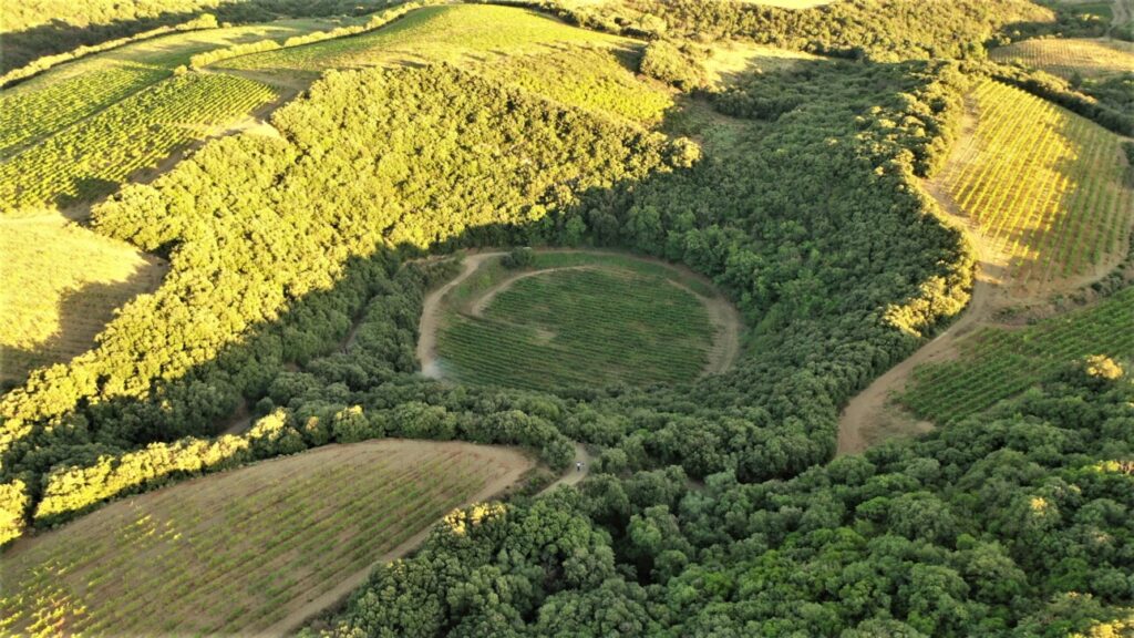 un vignoble dans un cratère