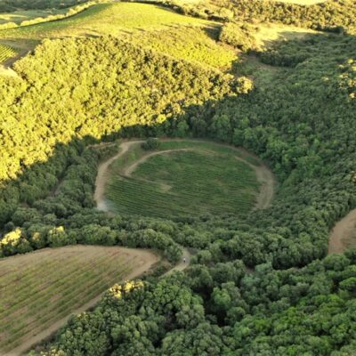 un vignoble dans un cratère