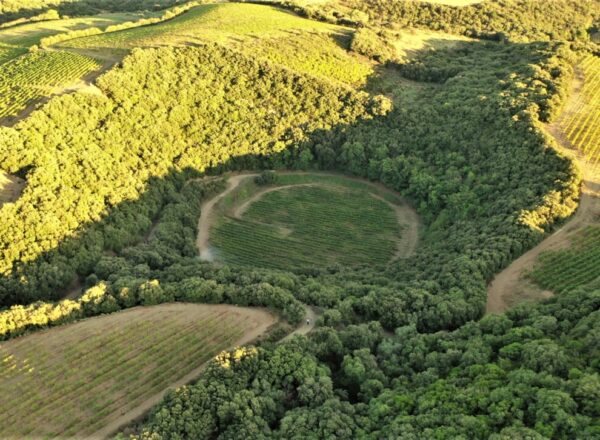 un vignoble dans un cratère