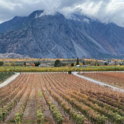 Le vignoble Corcelettes - Siimilkameen