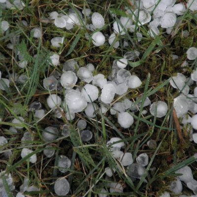 Flocons de grêle dans l'herbe après intempéries