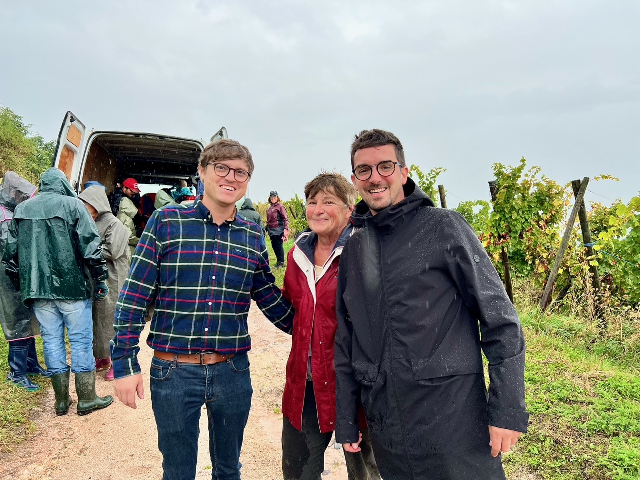 Vendanges pluvieuses en Alsace