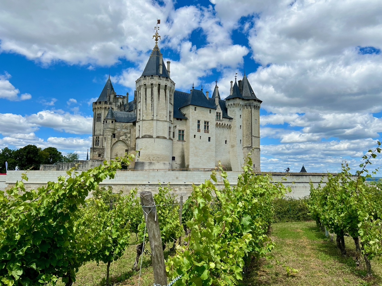 Château de Saumur en bord de Loire