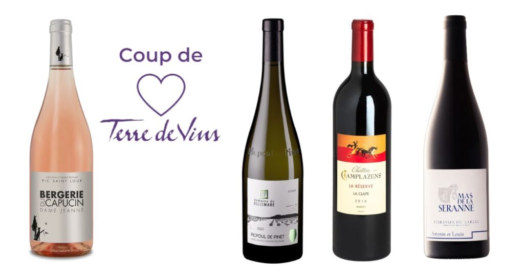 Bouteilles de vins