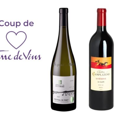 Bouteilles de vins