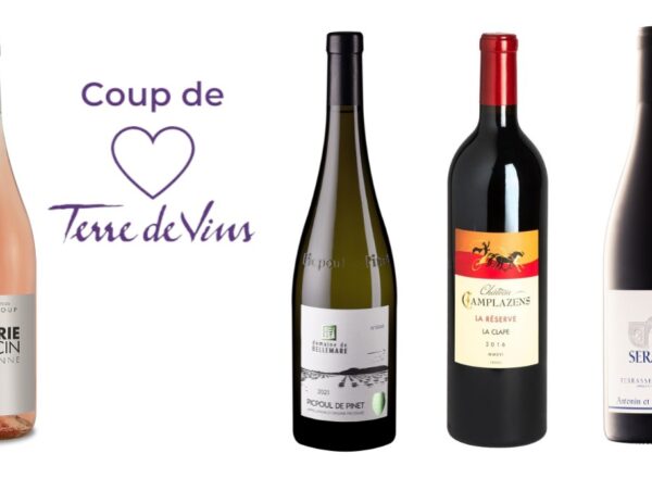 Bouteilles de vins