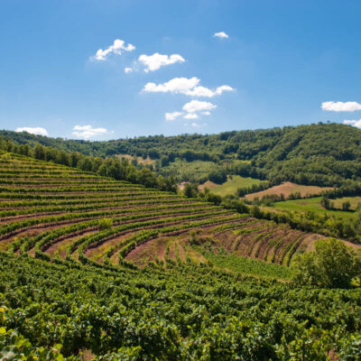 Marcillac dans les vignobles du Sud-Ouest