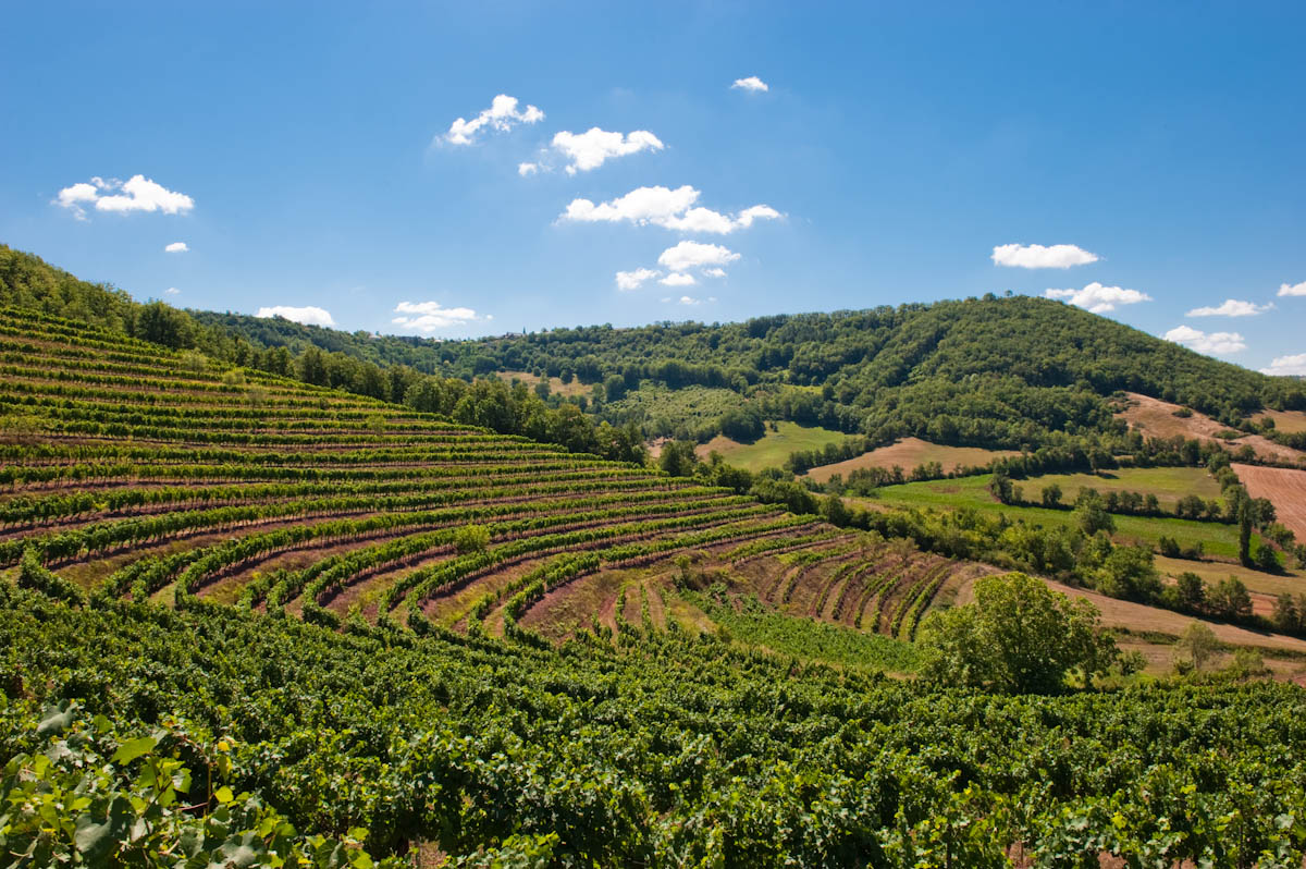 Marcillac dans les vignobles du Sud-Ouest