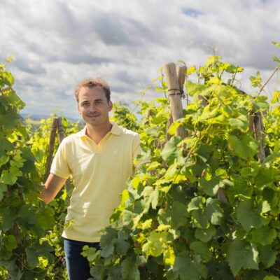 Charles Lachaux dans les vignes de son domaine familial en Côte-de-Nuits