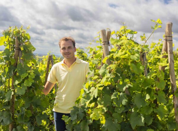 Charles Lachaux dans les vignes de son domaine familial en Côte-de-Nuits