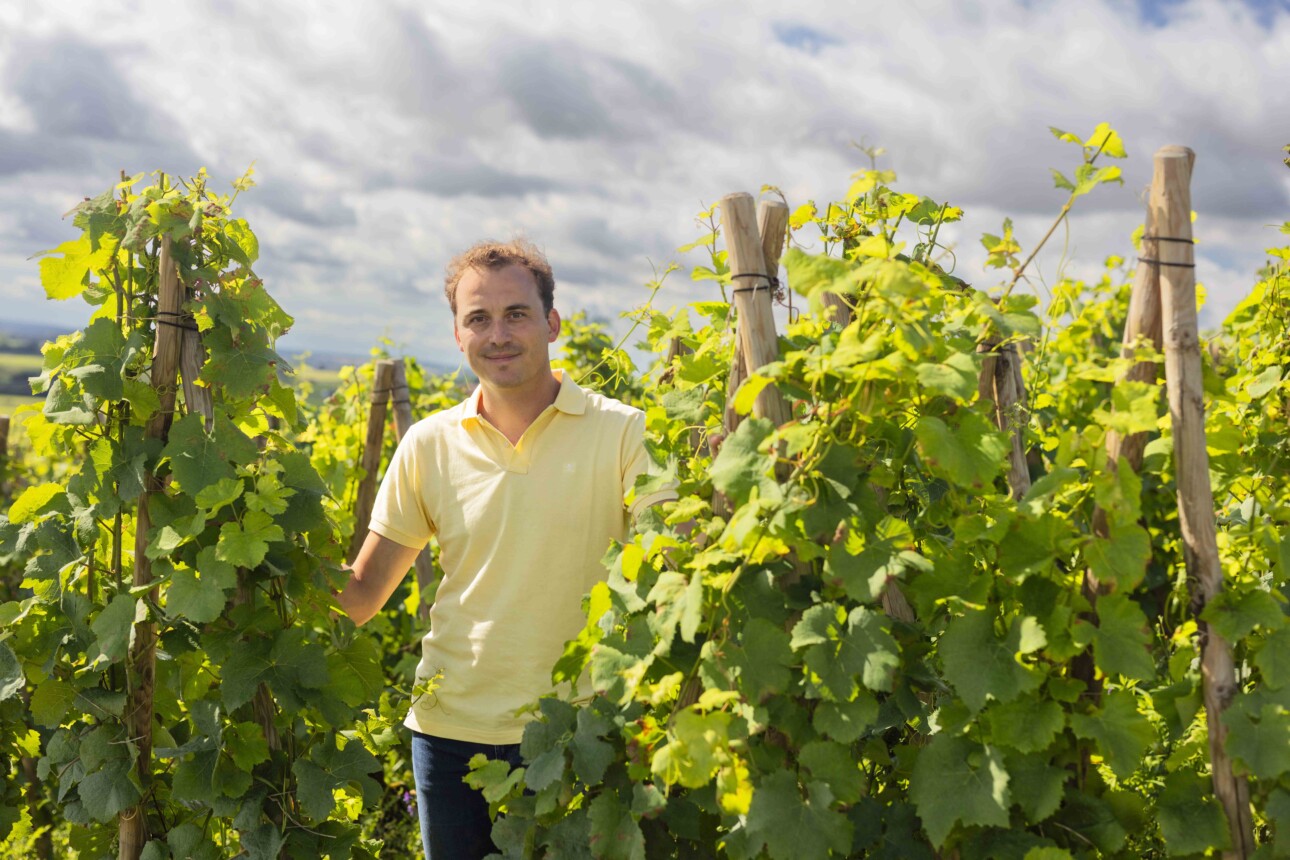 Charles Lachaux dans les vignes de son domaine familial en Côte-de-Nuits