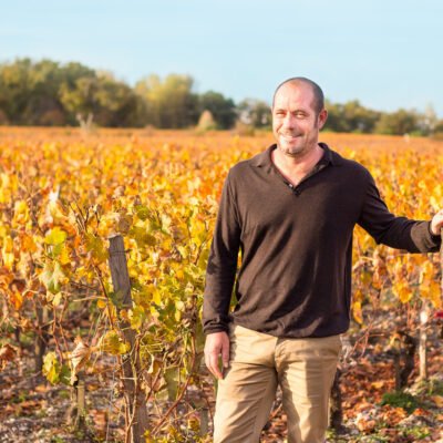 Homme dans les vignes