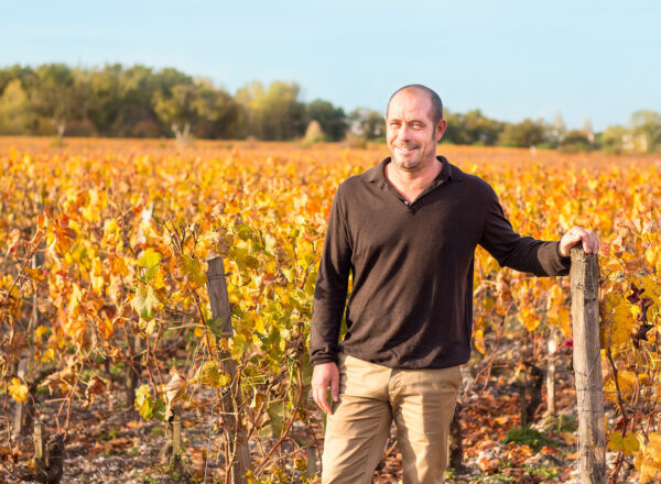 Homme dans les vignes