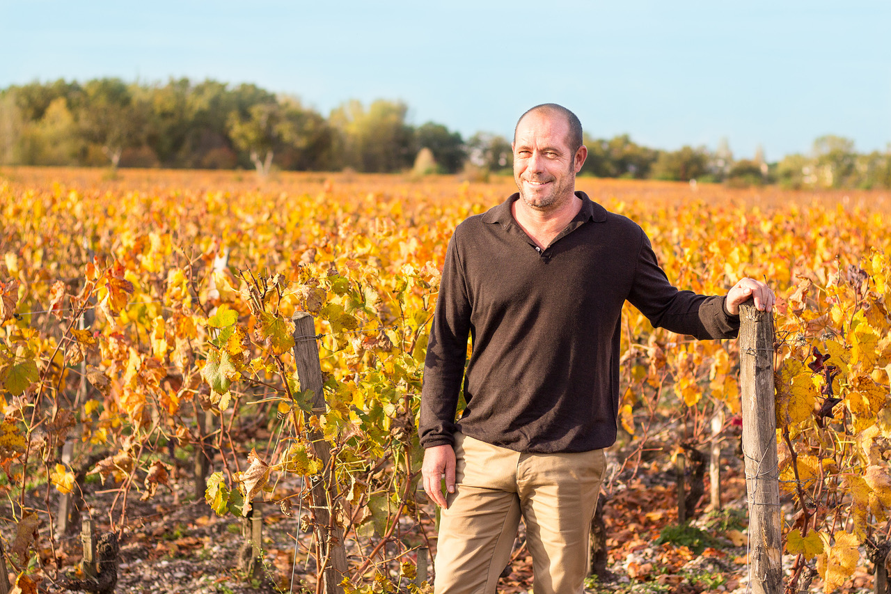 Homme dans les vignes