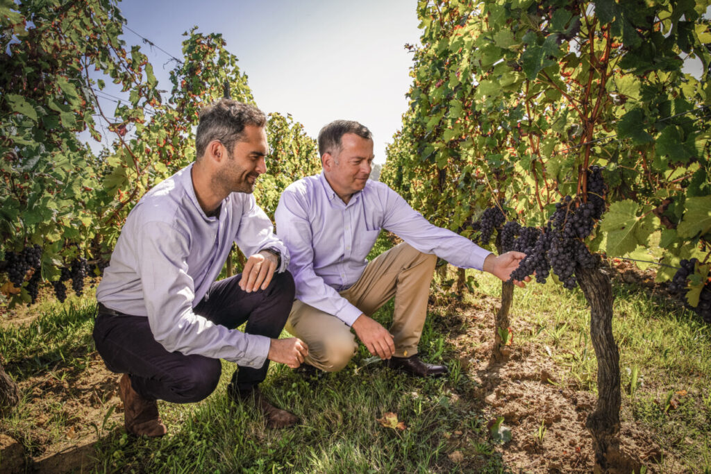 Valentin Jestin et Frédéric Bonnaffous, respectivement directeur de la marque et directeur des vins chez Dourthe qui vient de lancer sa première bouteille consignée