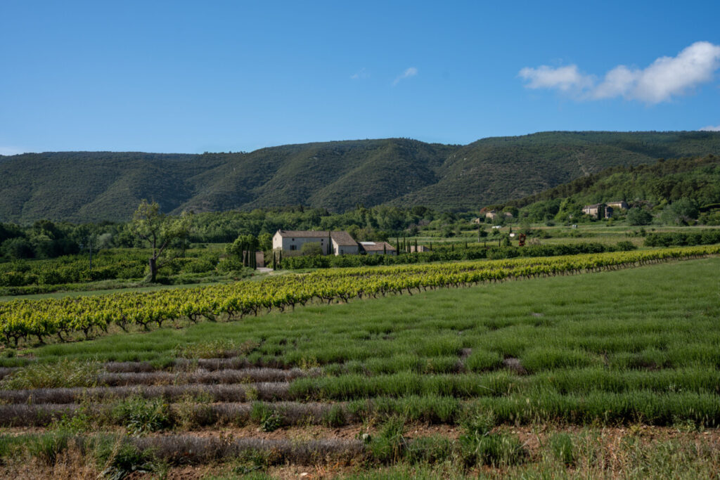 Destination Luberon