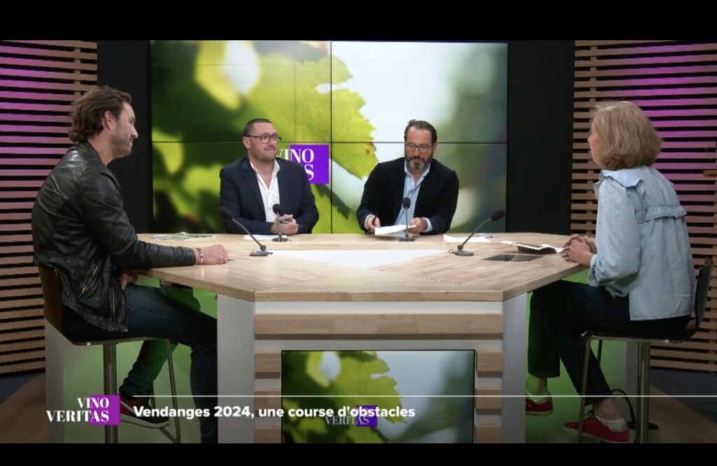 Damien Bielle, Mathieu Doumenge, Xavier Sota et Marjolaine de Coninck sur le plateau de Vino Veritas pour évoquer les vendanges 2024.