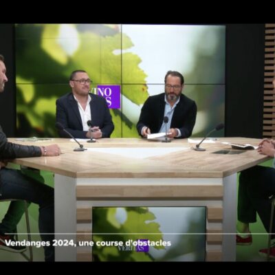 Damien Bielle, Mathieu Doumenge, Xavier Sota et Marjolaine de Coninck sur le plateau de Vino Veritas pour évoquer les vendanges 2024.