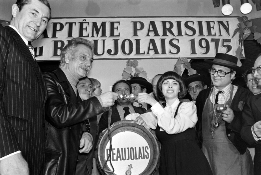 Beaujolais nouveau, lancement 1975