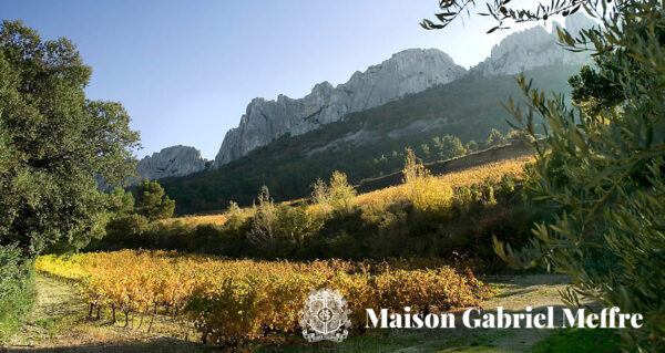 Gabriel Meffre, une maison de vin référente et engagée en Vallée du Rhône