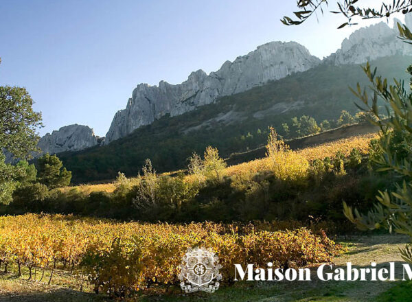 Gabriel Meffre, une maison de vin référente et engagée en Vallée du Rhône