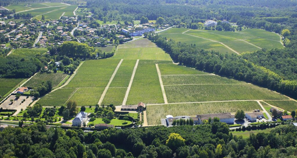 Le vignoble de Pessac-Léognan sera présent en force à Bordeaux Tasting