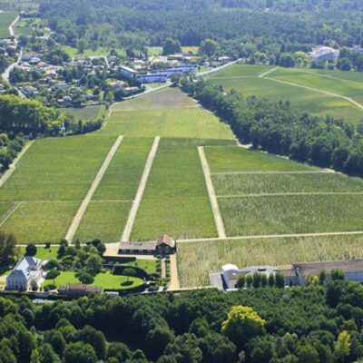 Le vignoble de Pessac-Léognan sera présent en force à Bordeaux Tasting