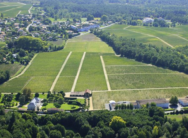 Le vignoble de Pessac-Léognan sera présent en force à Bordeaux Tasting