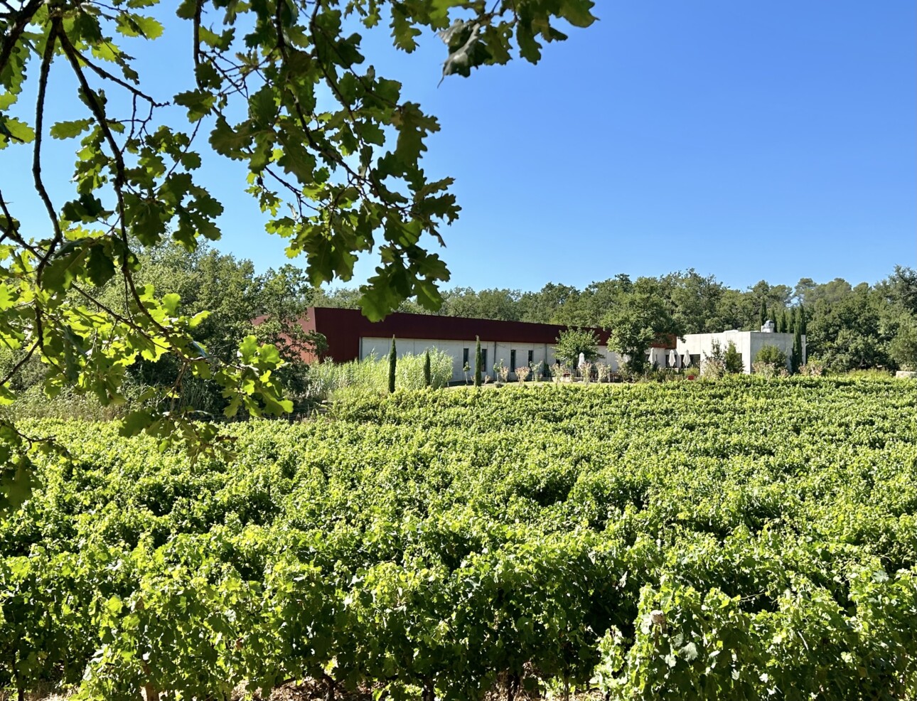 Caveau du domaine de Cala