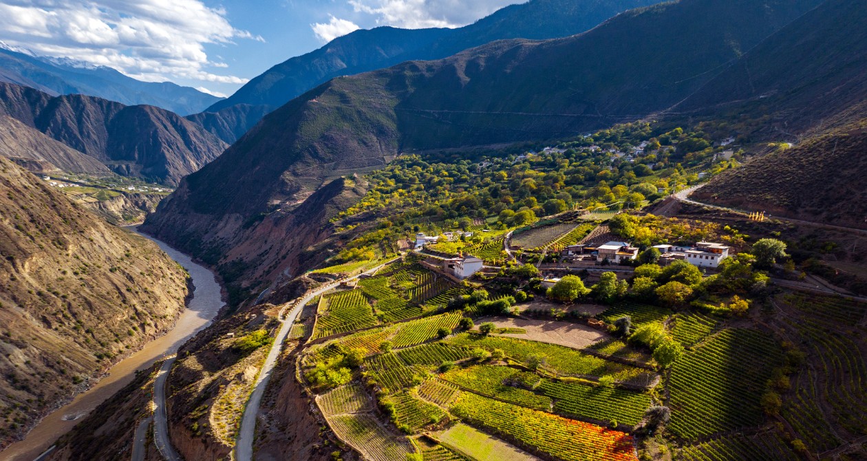 Vignes d'Ao Yun