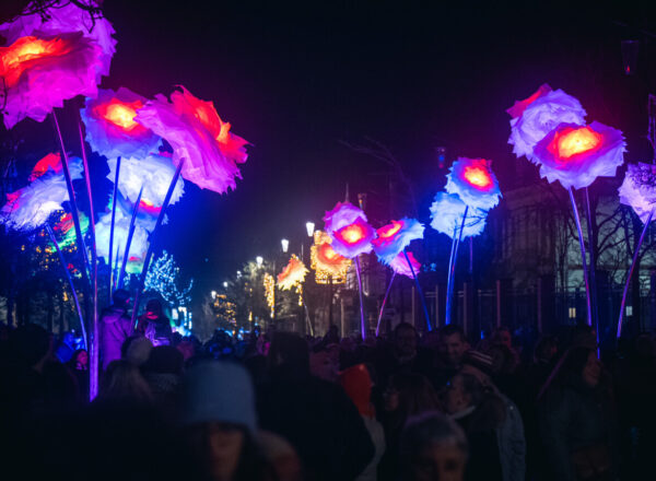 Illuminations de l'Avenue de Champagne à l'occasion des Habits de Lumière