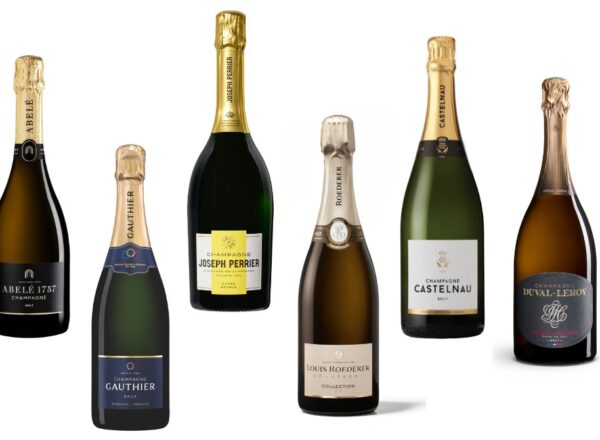 champagnes coups de cœur des fêtes