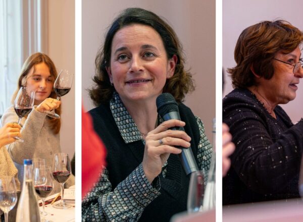 master classes dimanche bordeaux tasting