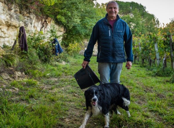 Alain Tourenne dans ses vignes avec son chien