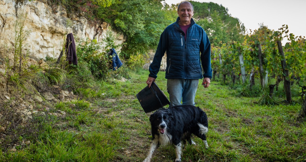 Alain Tourenne dans ses vignes avec son chien