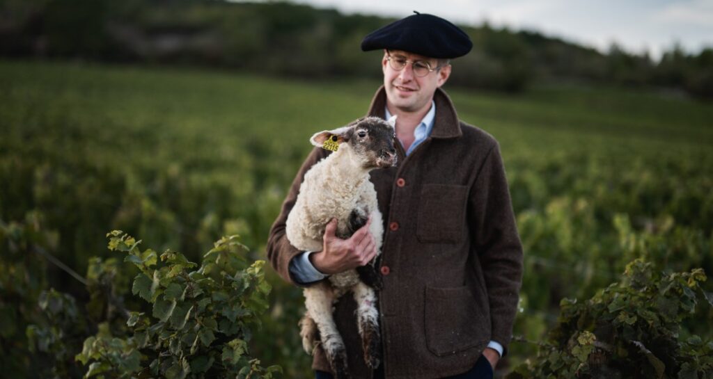 Armand Heitz dans ses vignes avec un agneau dans les bras